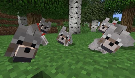 Cómo domesticar y criar lobos en Minecraft