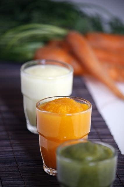 12 Quick & Healthy Baby Food Recipes