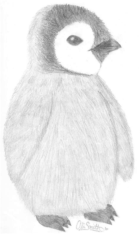 a pencil drawing of a penguin