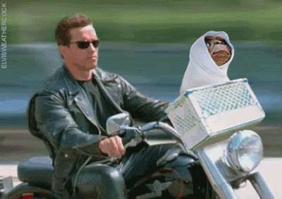 ET ETPhone Home GIF - ET ETPhoneHome ArnoldSchwarzenegger - Discover ...