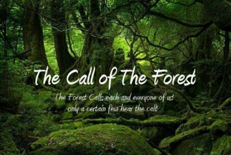 spiritual forest | The Call of the Forest | Spiritual & Metaphysical ...