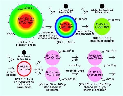 The Physics of Neutron Stars | Science