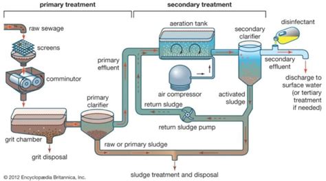 Aerobic Digestion vs Anaerobic Digestion in Wastewater Treatment | Lab Unlimited