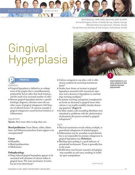 Gingival Hyperplasia in Dogs & Cats - Veterinary Dentistry Courses ...