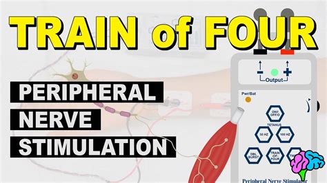 Train of Four - Peripheral Nerve Stimulation - YouTube