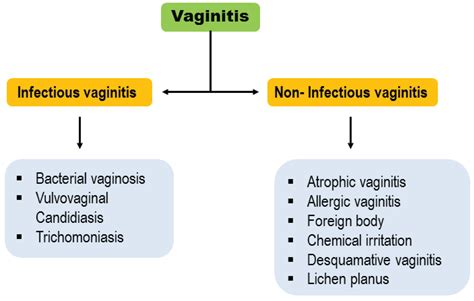 Vaginitis: Etiology and Role of Oxidative Stress, Inflammation and Antioxidants Therapy