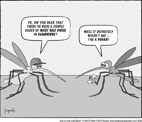 86 best Silly Mosquito Jokes images on Pinterest