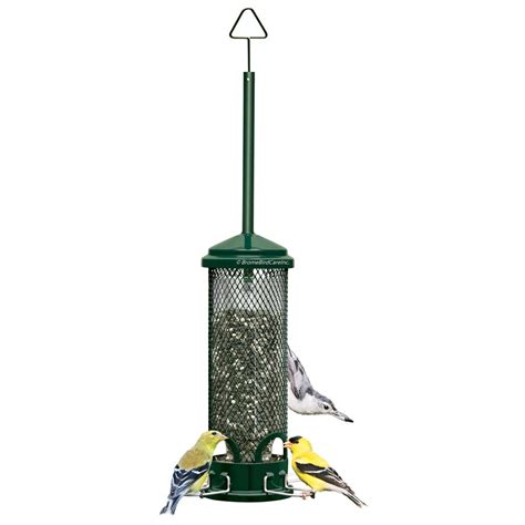 Squirrel Buster Hanging Metal Squirrel-Resistant Bird Feeder 1.3-lb Seed Capacity at Lowes.com