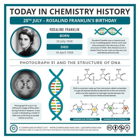 Rosalind Franklin was born on this day in 1920. Her contributions to ...