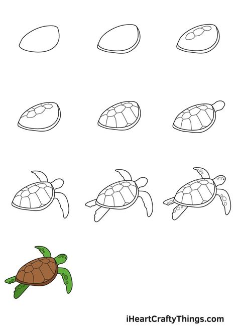 How to Draw a Sea Turtle – Step by Step Guide | Turtle drawing, Sea turtle drawing, Turtle painting