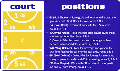 Netball Positions Explained For Kids - IMAGESEE