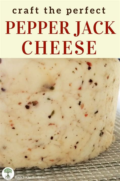 How to Make Perfect Pepper Jack Cheese | Recipe | Cheese recipes ...