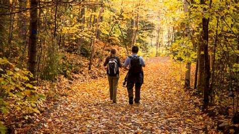 Autumn Hikes That Will Make You Fall in Love with Muskoka all over again! - Discover Muskoka ...