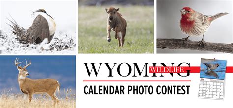 Wyoming Game and Fish Department - Become a published photographer