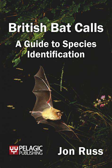 British Bat Calls – A Guide to Species Identification