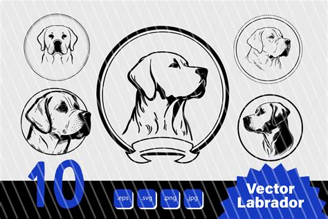 Vector Labrador Dog Silhouette Graphic by Irina Matiash · Creative Fabrica