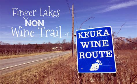 Cayuga Lake Wine Trail Map Guide Finger Lakes New York Wineries Brochure Lover ...