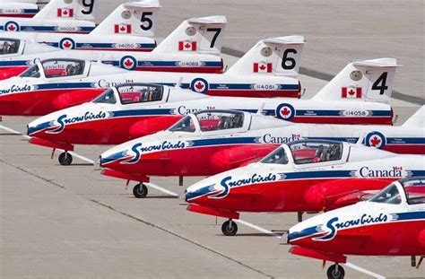 Canada's Snowbirds Royal Canadian Navy, Canadian Military, Military Jets, Military Aircraft ...