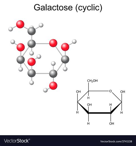 Chemical Structure Of Galactose