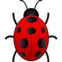 Bug Clipart Pics