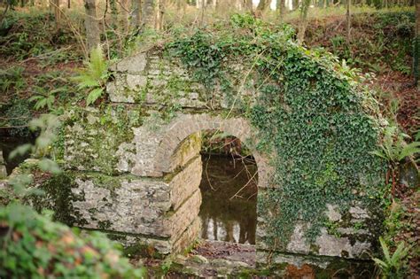 Ballincollig Regional Park – Tea and a camera