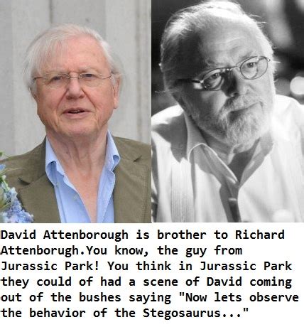 My Magical, Uneventful, Broke, College Life: David Attenborough in Jurassic Park?