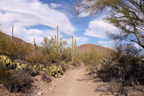 Sunnyarizona- walks and hikes: Hiking the Ironwood trail, and Picture ...