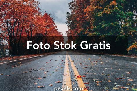 1000+ Foto Latar Belakang Gratis Pexels · Foto Stok Gratis