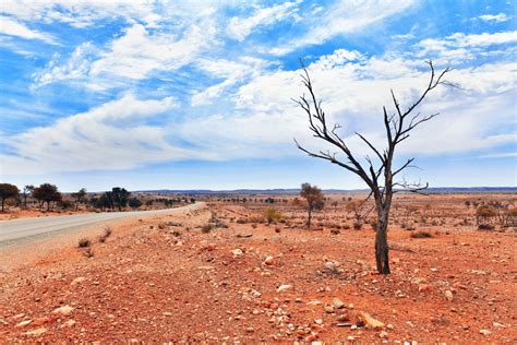 Barren Earth - Chilby Photography