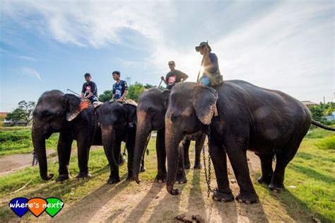 Ayutthaya Elephant Kraal Pavilion (Elephant Camp)