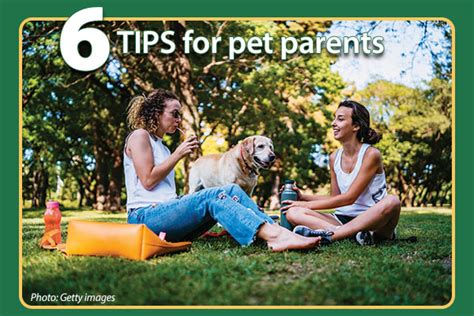 6 tips for pet parents