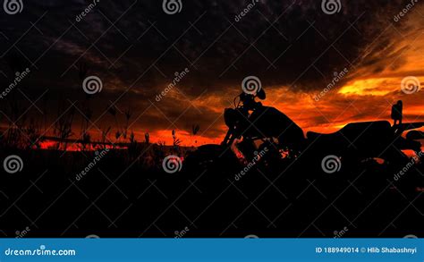 Motorcycle silhouette stock photo. Image of field, film - 188949014