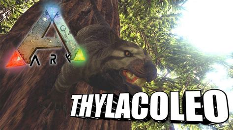 Taming A Thylacoleo | Ark Survival Evolved | The Island - YouTube