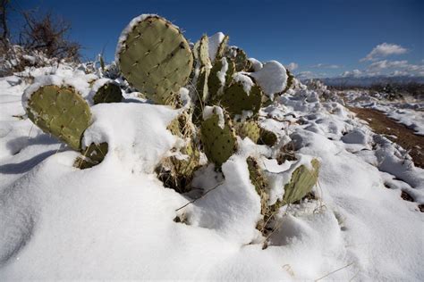 Snow is on the way in Tucson tonight