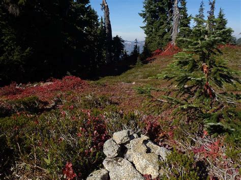 Bald Eagle Mountain Summit : Photos, Diagrams & Topos : SummitPost