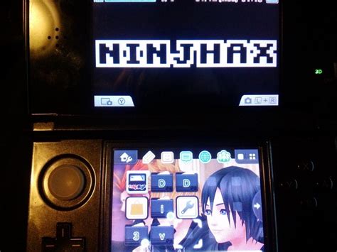 Homebrew allows for custom 3DS themes