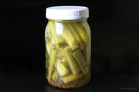 Spicy Pickled Celery Sticks