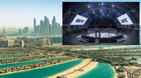 UFC Fight Island Revealed, League Announces Four Events in Abu Dhabi