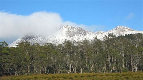 Mount Ossa | mountain, Tasmania, Australia | Britannica