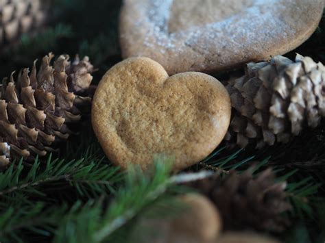 Old Fashioned Pepperkaker (Norwegian Gingerbread Cookies) - North Wild KitchenNorth Wild Kitchen