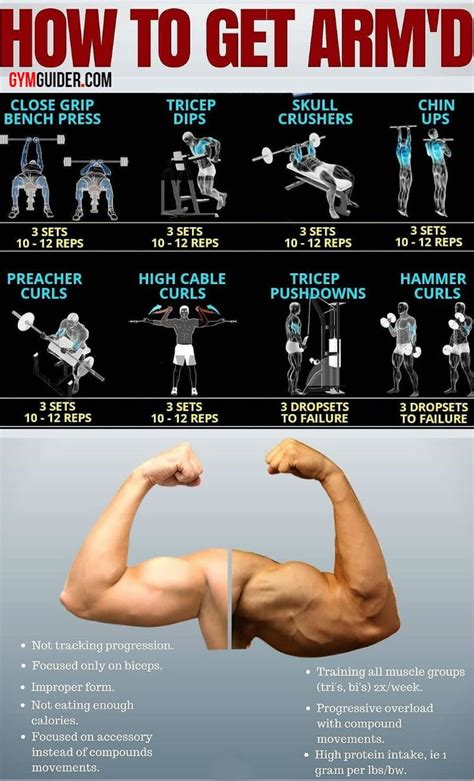 Target And Tone Your Entire Arms With These 4 Easy Exercises - GymGuider.com | Gym workout chart ...