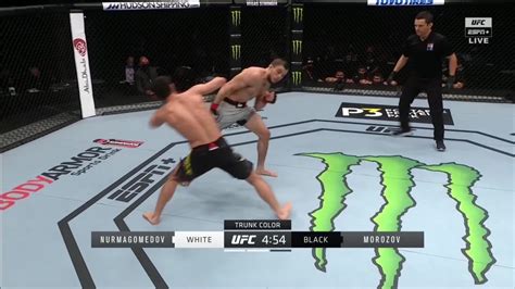 Umar Nurmagomedov stuns Morozov with fast head kick : MMA