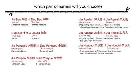 What's in a name? Choose your favourite for the giant panda cubs