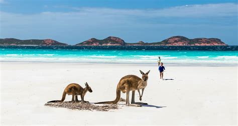 Discovering Australia: Exciting Destinations To Inspire Your Trip Down ...