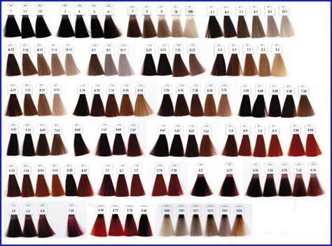 keune hair color chart 1740 15 fresh keune color chart pics keunehair - skillful number keune ...