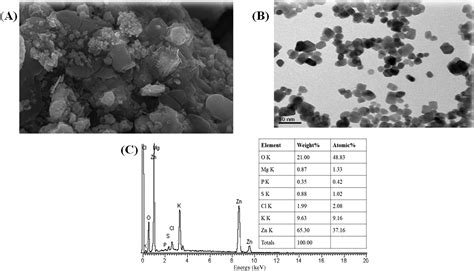 Green Synthesis of Zinc Oxide (ZnO) Nanoparticles Using Aqueous Fruit ...