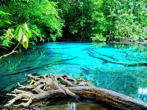 Emerald Pool and Blue Lagoon in Krabi | Travel Moments