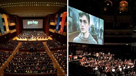 A 'Harry Potter' Movie Concert With A Live Orchestra Is Coming To ...