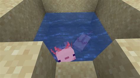 How to breed an Axolotl in Minecraft - Pro Game Guides