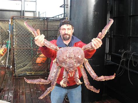 Pin by Sherry Allen on Deadliest Catch Series | Deadliest catch ...